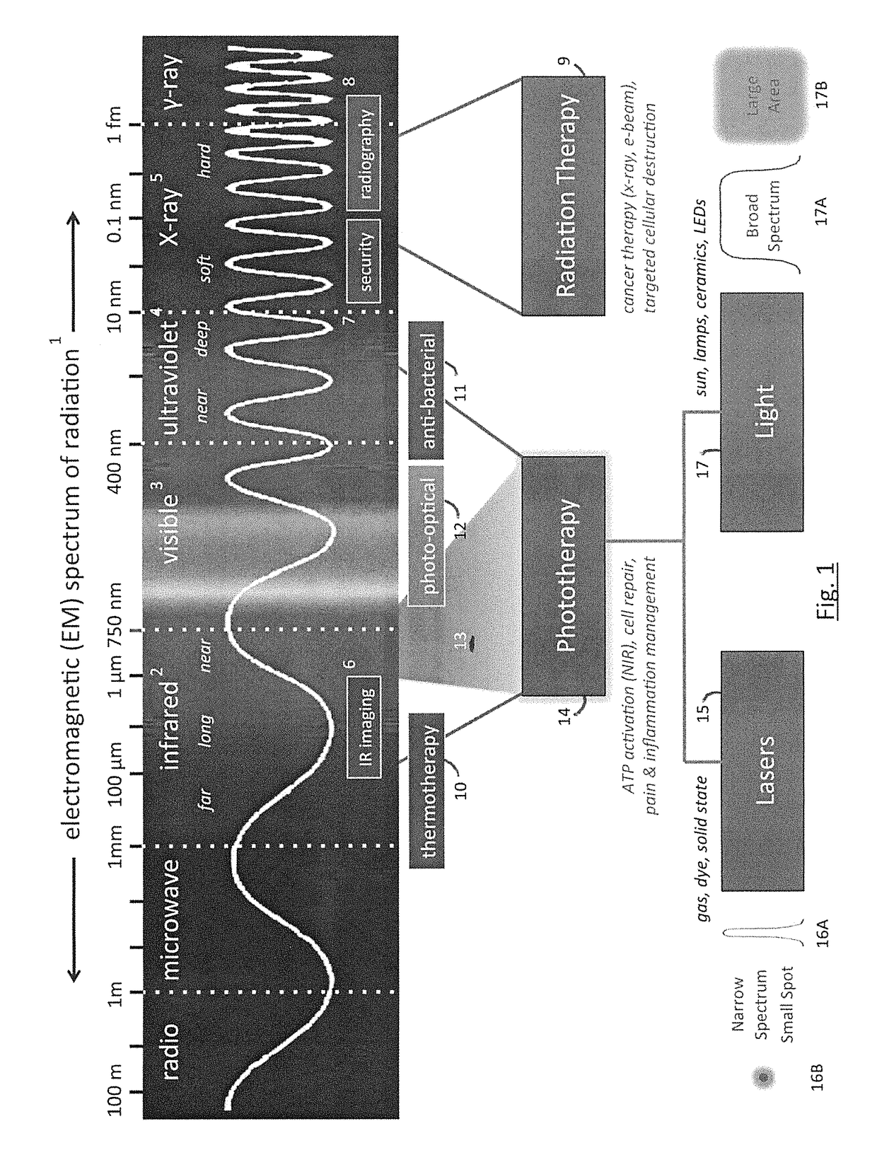 Phototherapy system and process including dynamic LED driver with programmable waveform