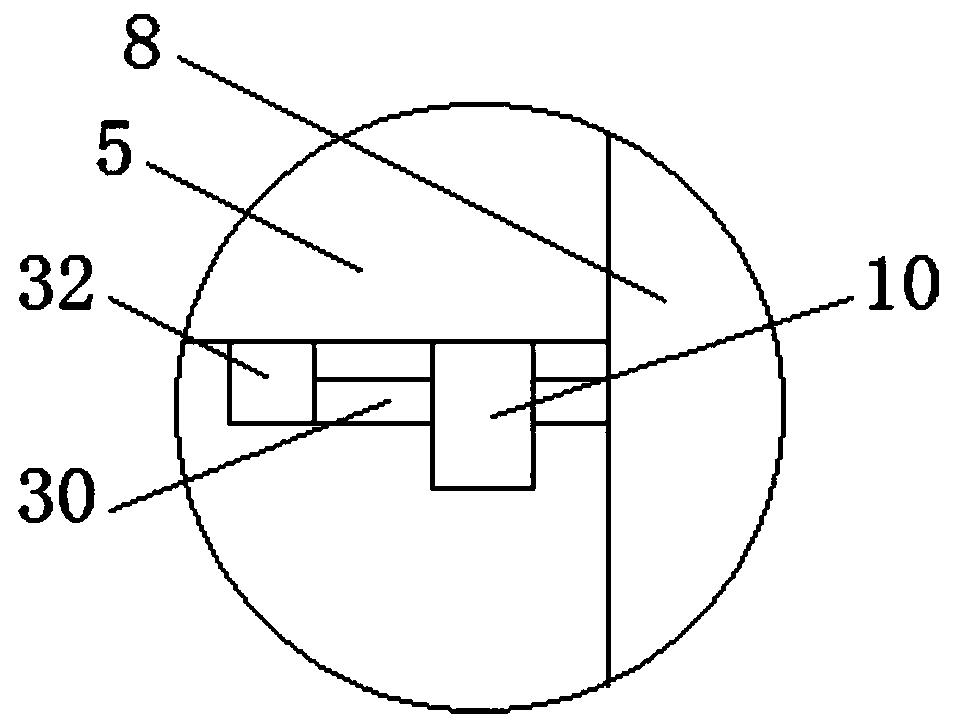 A rice processing conveying device with flexible adjustment of conveying height