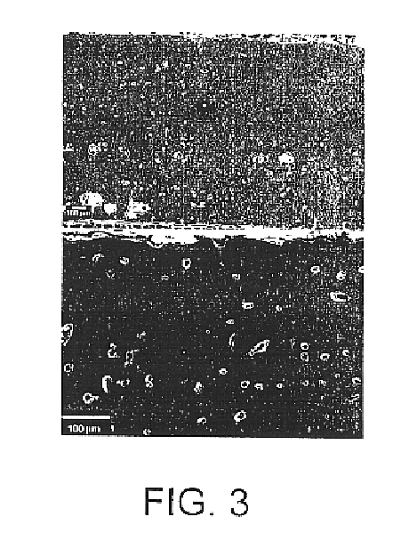 Compositionally graded metallic plates for planar solid oxide fuel cells