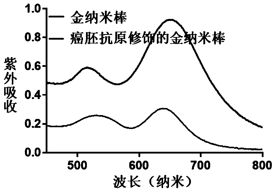 Hydrogel preparation based on quantum dots and gold nanorods as well as preparation method and application of hydrogel preparation