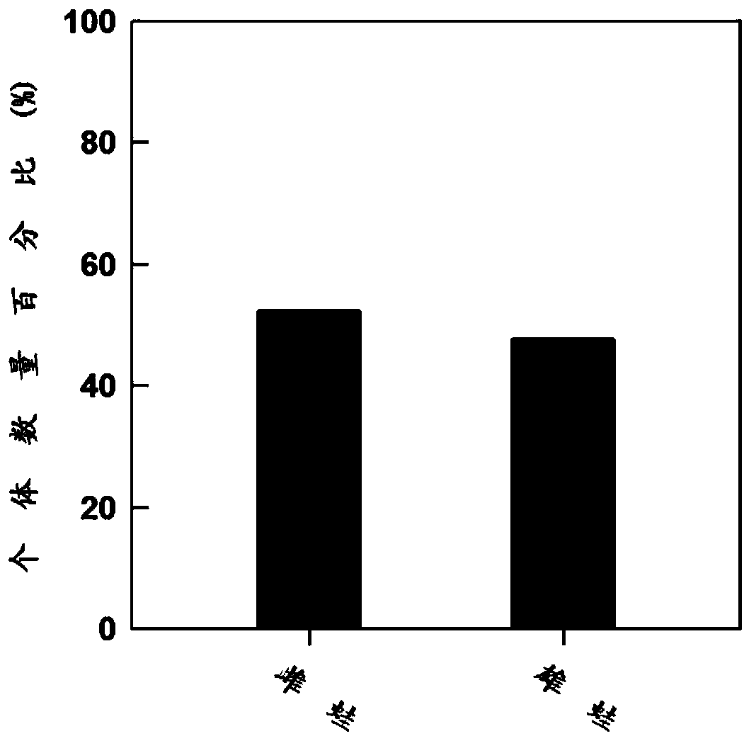 A control method and application of tiger frog sex ratio