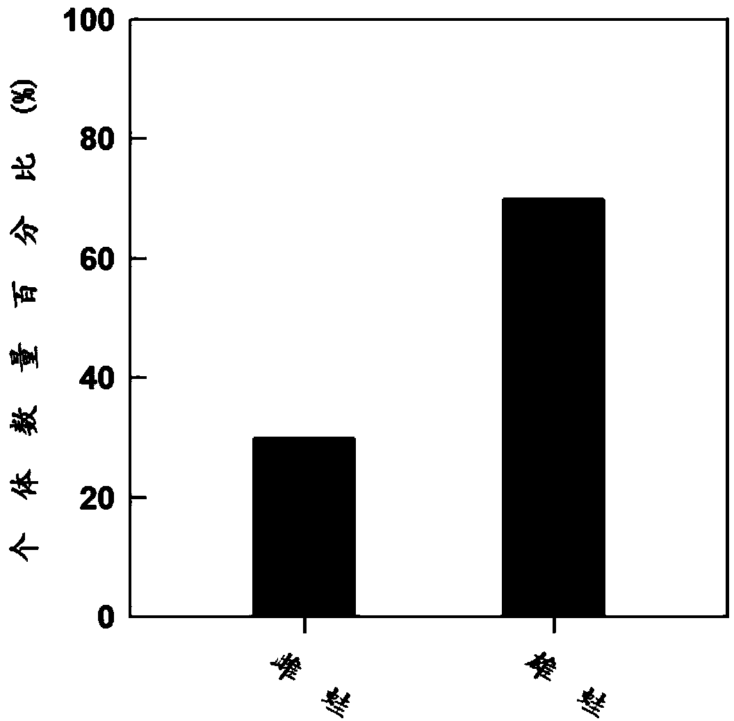 A control method and application of tiger frog sex ratio