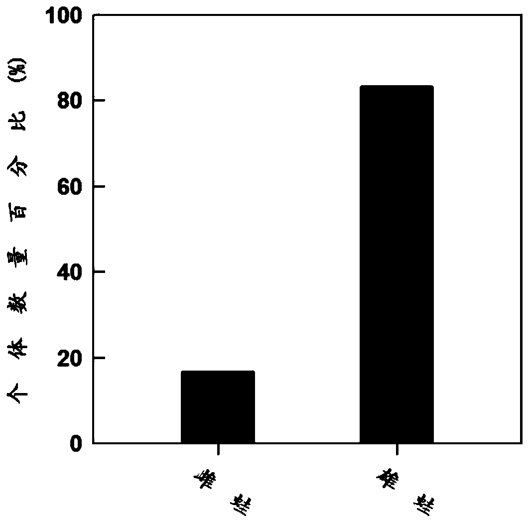 A control method and application of tiger frog sex ratio