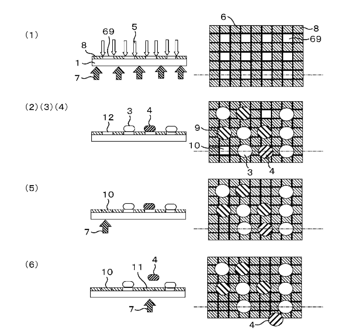 Substrate with photo-controllable cell adhesion property, method for analyzing and fractionating cells, and device for analysis and fractionation of cells