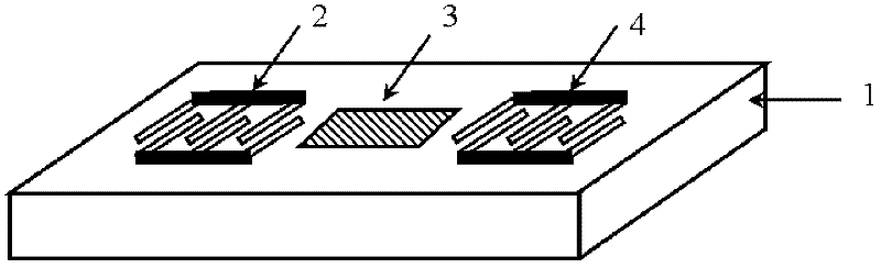 Magnetic-acoustic surface wave magnetic field sensor and preparation method thereof