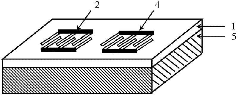 Magnetic-acoustic surface wave magnetic field sensor and preparation method thereof