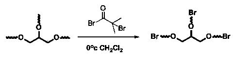 Acrylic acid and polyactic acid (PAA) contained functional polymer material