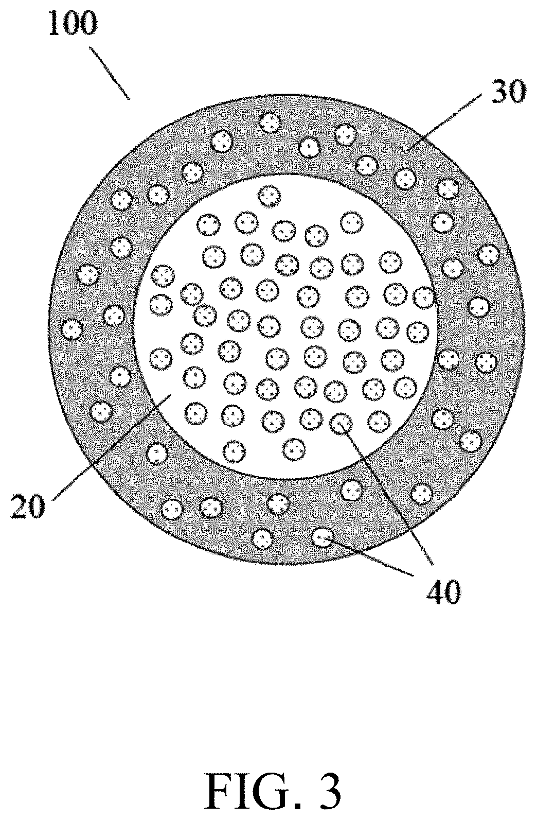 Biocide-encapsulated microcapsule for use in paint