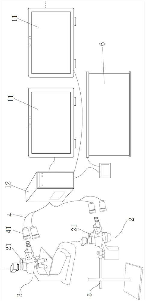 Microscope real-time 3D array display system and method