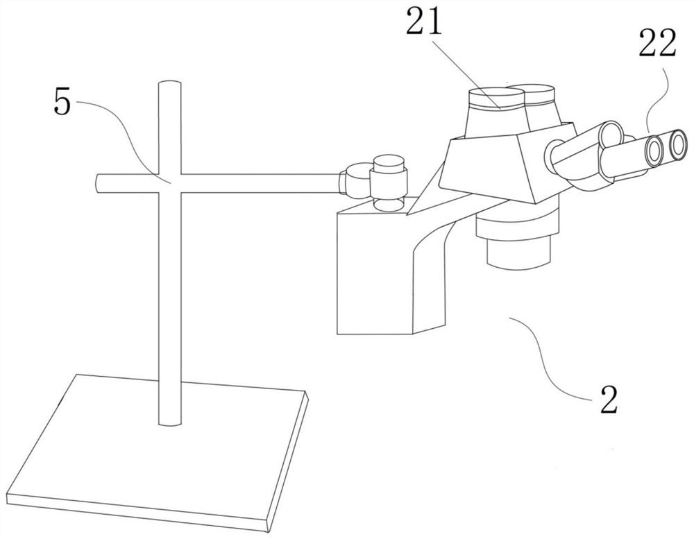 Microscope real-time 3D array display system and method