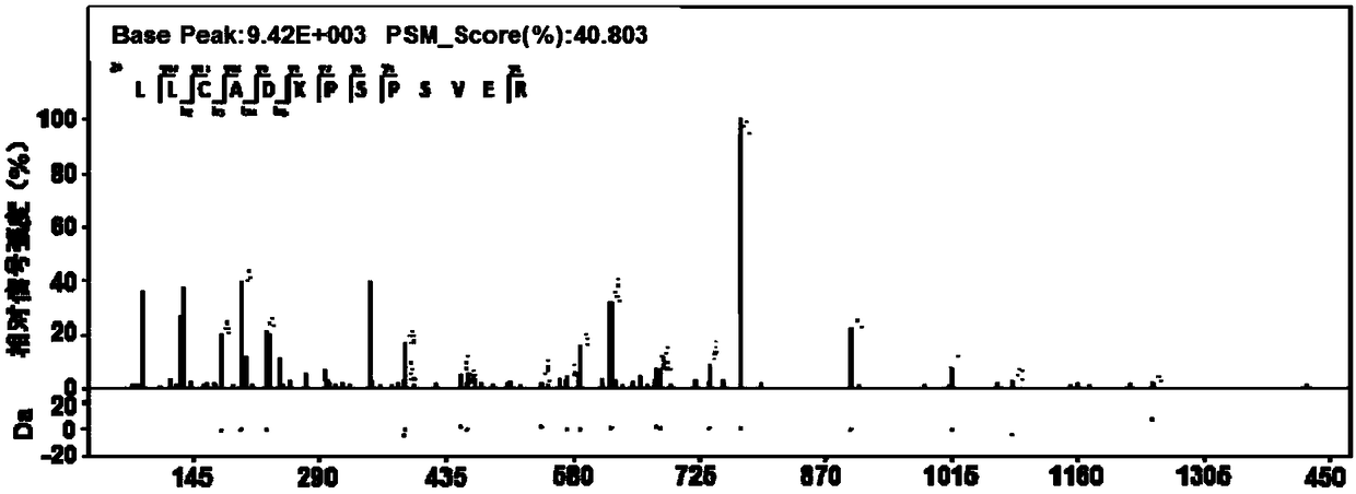 Coding gene of Mycobacterium tuberculosis H37Rv and use thereof