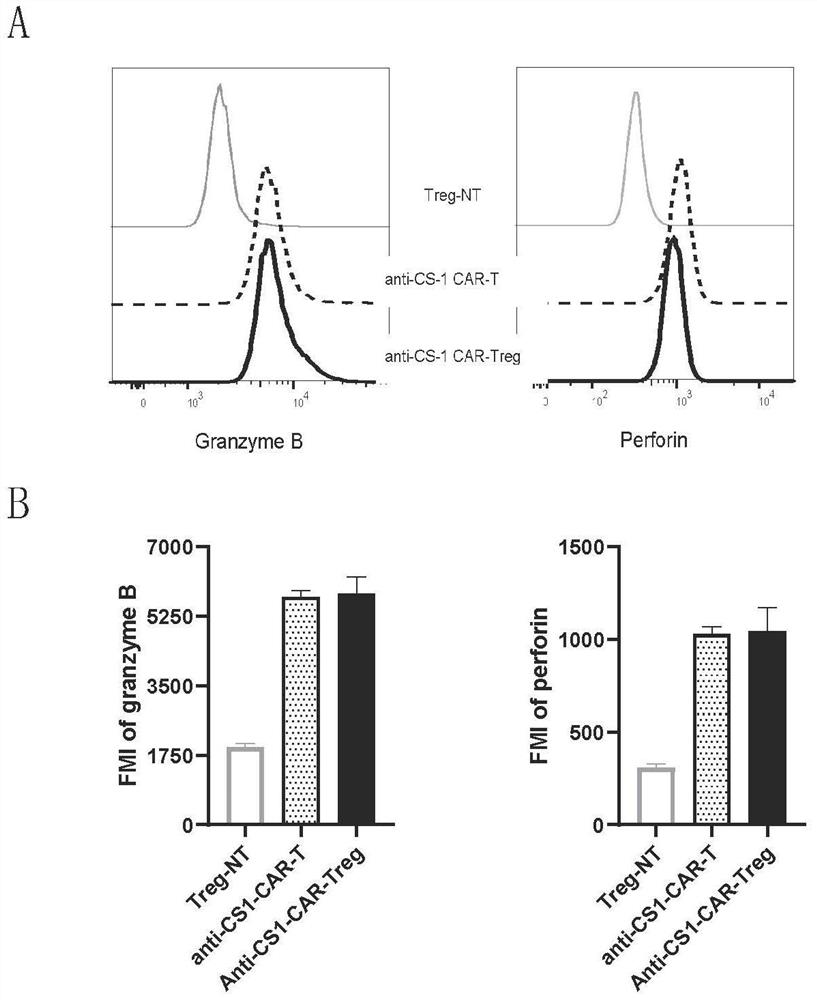 Preparation method and application of universal chimeric antigen receptor regulatory T cell