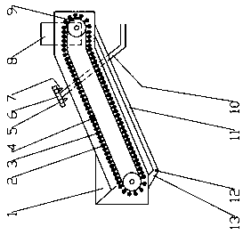 Cleaning system and cleaning method of Hotan red dates