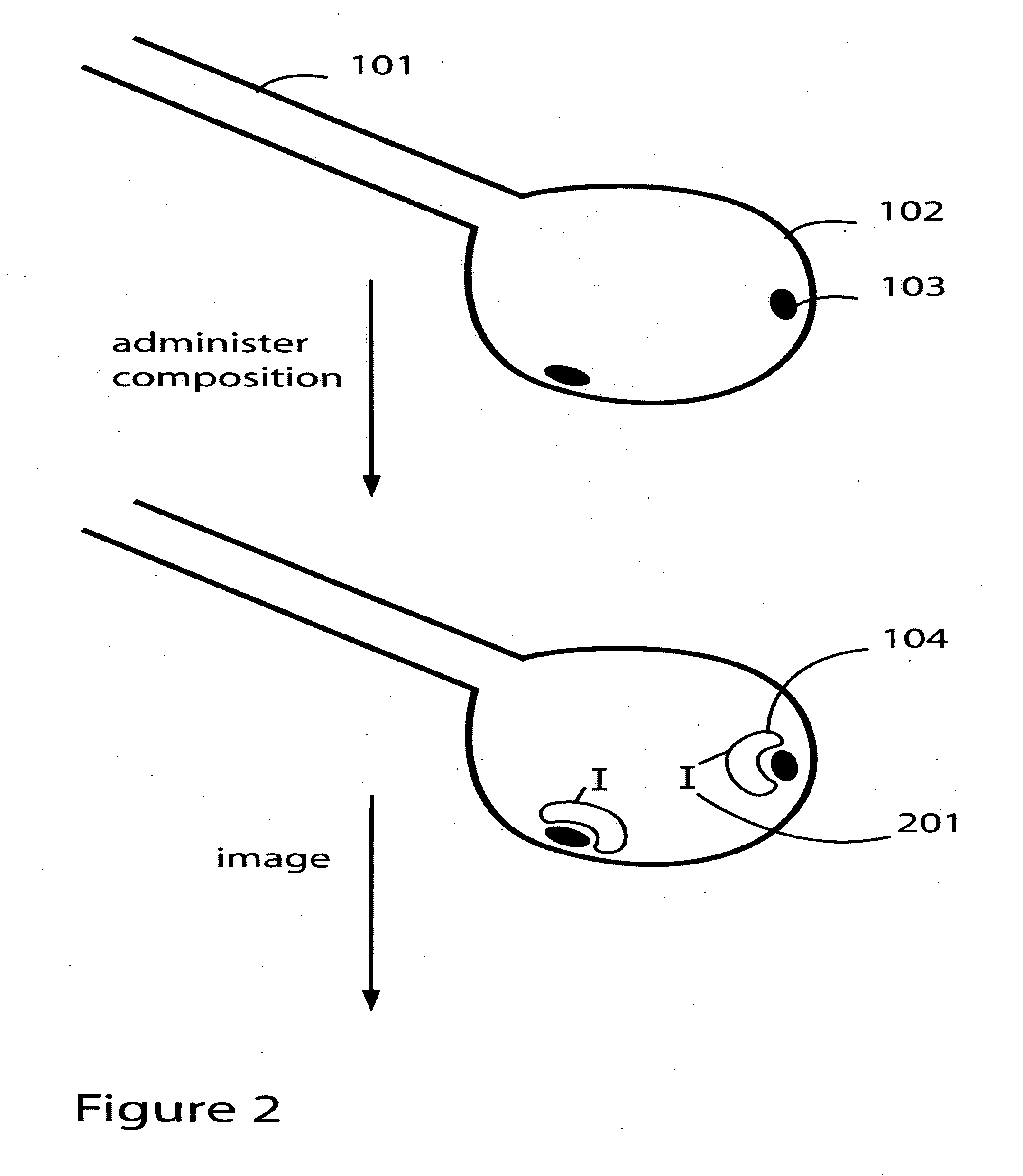 Targeting sites of damaged lung tissue using composition