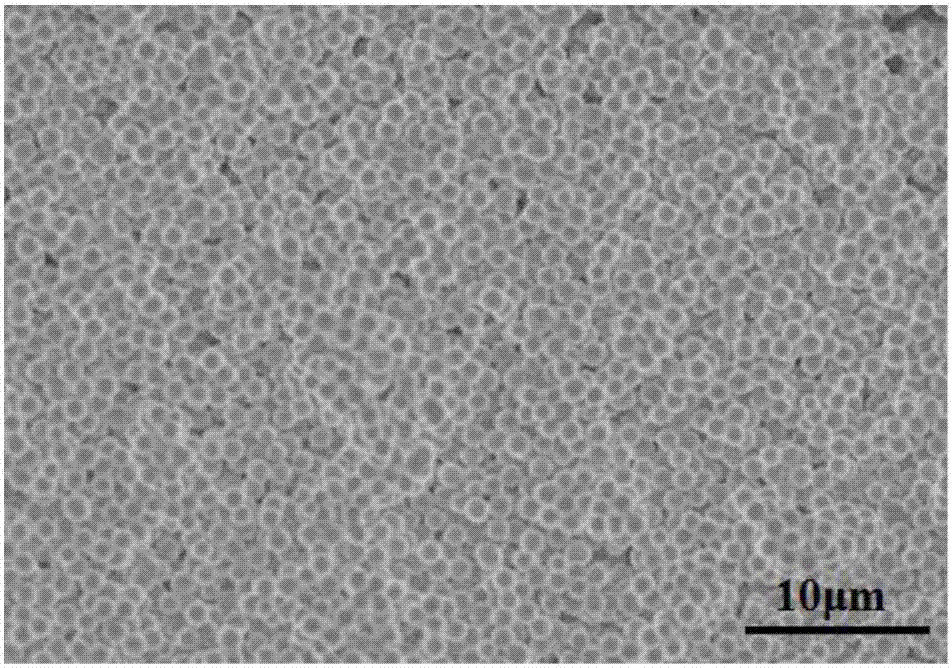 Preparation method of hollow TiNb2O7 microsphere