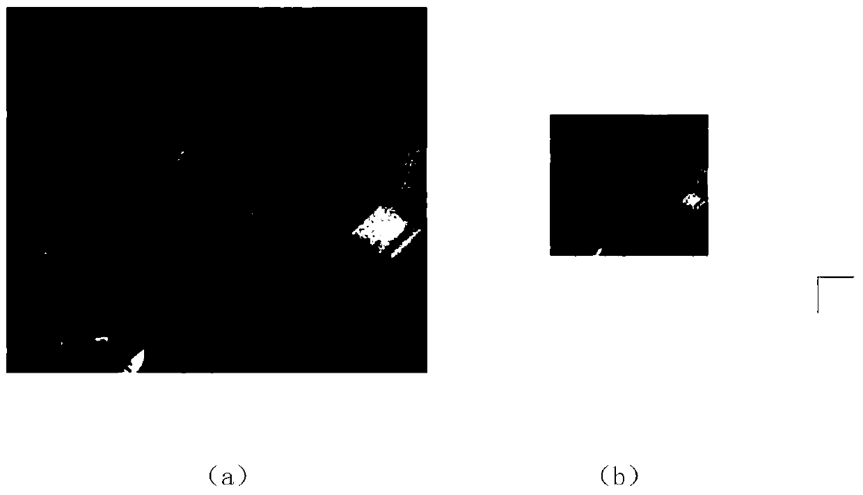 Unmanned aerial vehicle scene matching and positioning method based on improved ORB feature point matching