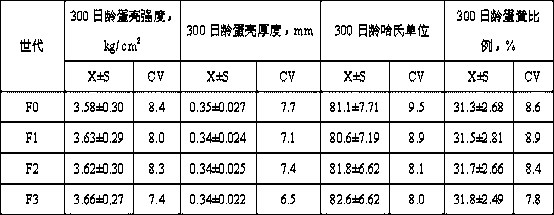 Cultivation method of black and white feathered high-laying chicken strain