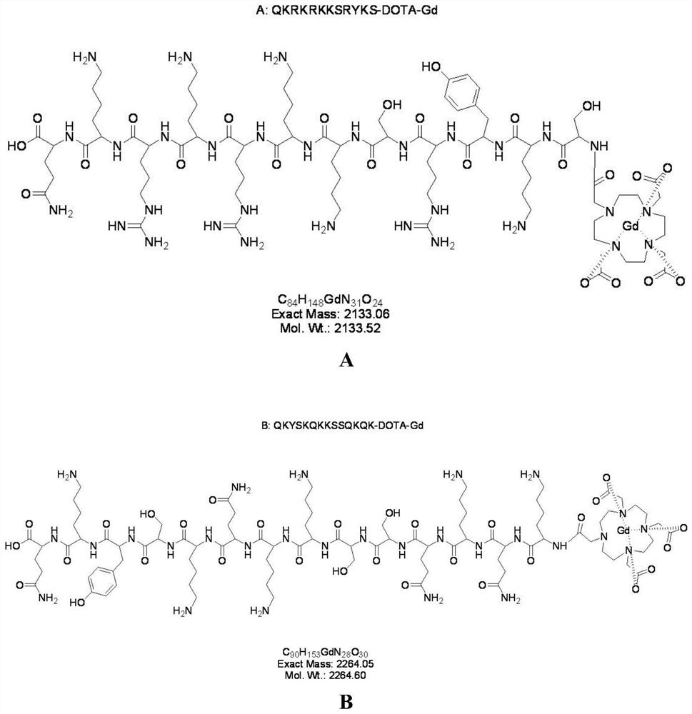 A kind of compound, preparation method and MRI imaging application thereof