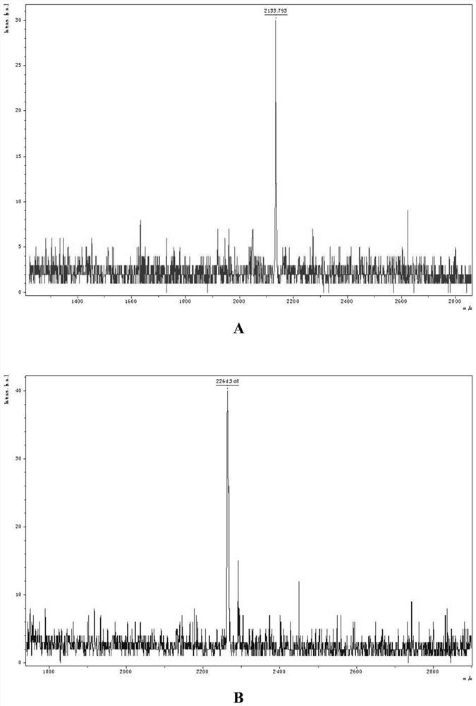 A kind of compound, preparation method and MRI imaging application thereof