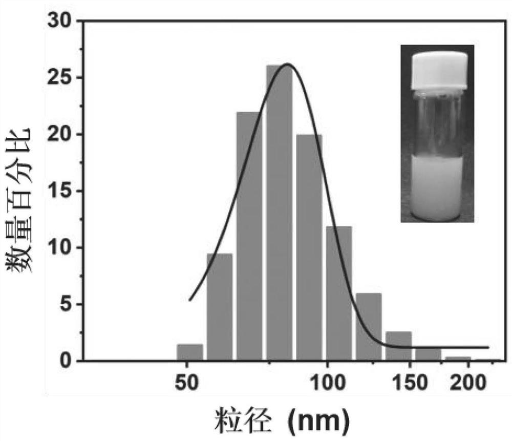 Chloroquine-coated denatured albumin nanoparticles for selectively resisting inflammatory cells as well as preparation method and application of chloroquine-coated denatured albumin nanoparticles