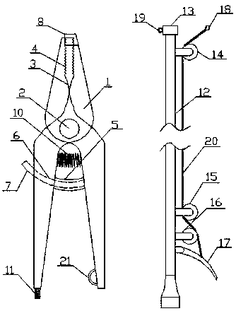 Scissors with detachable handle and used for pruning in peach tree planting