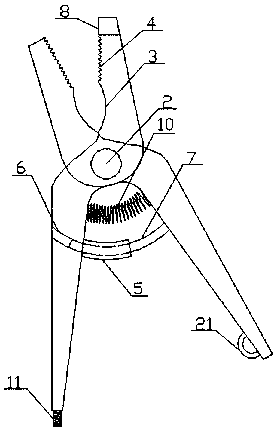 Scissors with detachable handle and used for pruning in peach tree planting