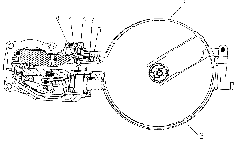 Gun for coiling nail