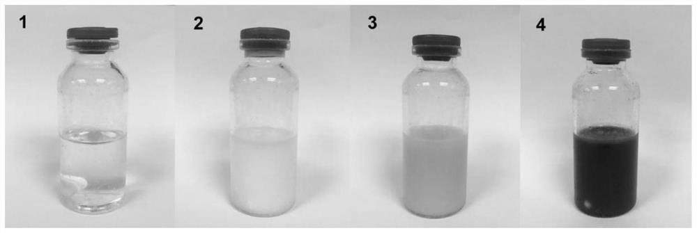 Mesoporous polydopamine nanoparticles for tumor T1-T2 magnetic resonance imaging