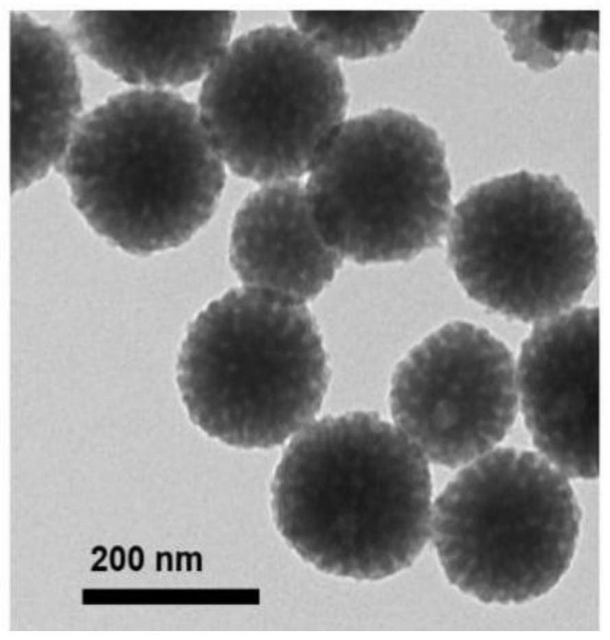 Mesoporous polydopamine nanoparticles for tumor T1-T2 magnetic resonance imaging