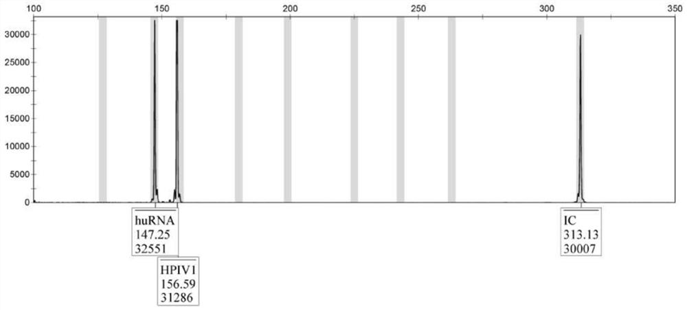 Primer composition for simultaneously detecting seven respiratory tract related viruses, and application of primer composition