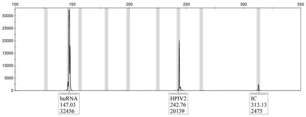 Primer composition for simultaneously detecting seven respiratory tract related viruses, and application of primer composition