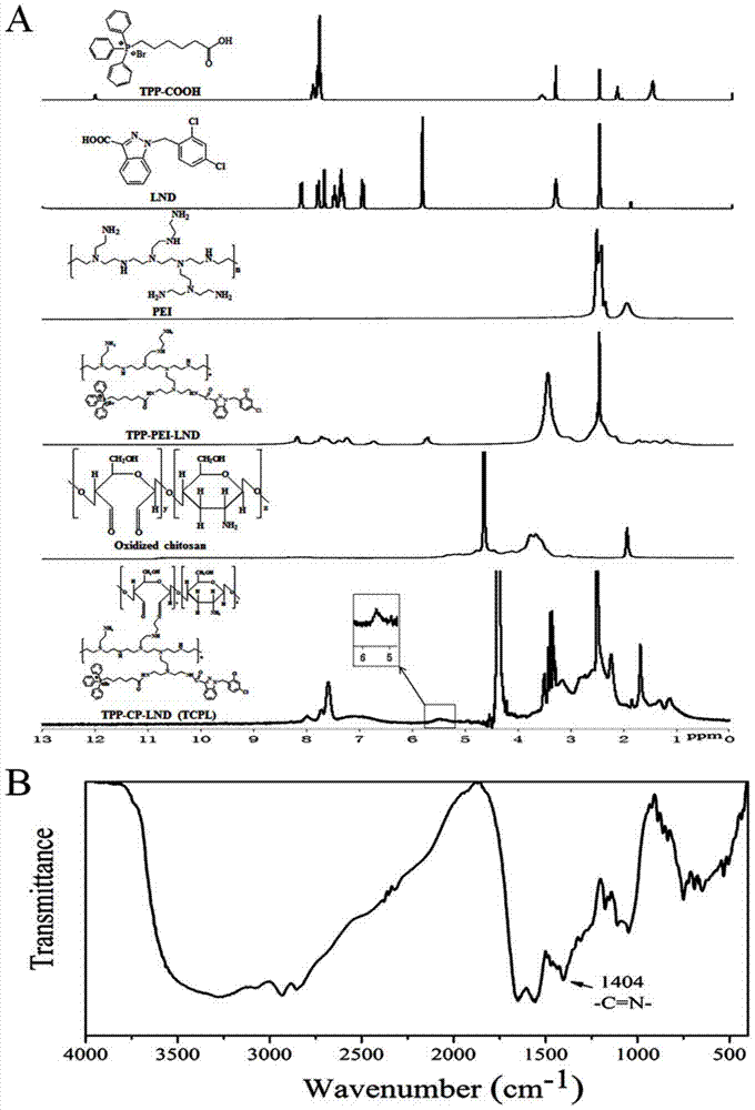 Co-delivery nano-carrier of drug and gene, preparation method and application thereof