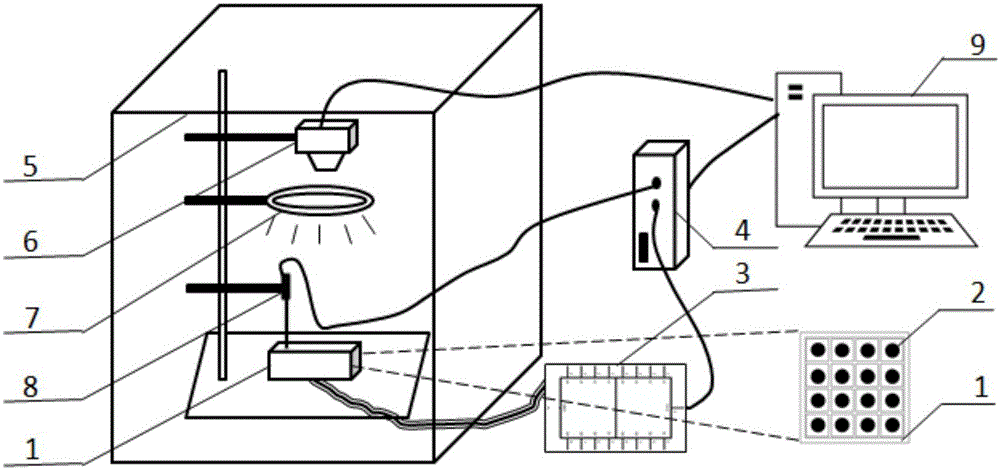 Metal corrosion high-throughput characterization experimental apparatus based on image