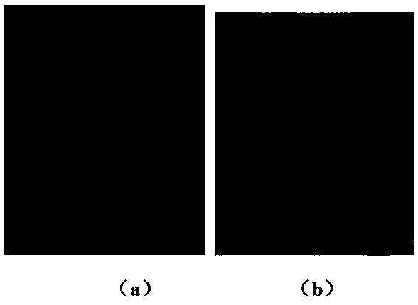 Application of poly(p-phenylenevinylene)conjugated polymer fluorescent nanomaterials in latent fingerprint visualization