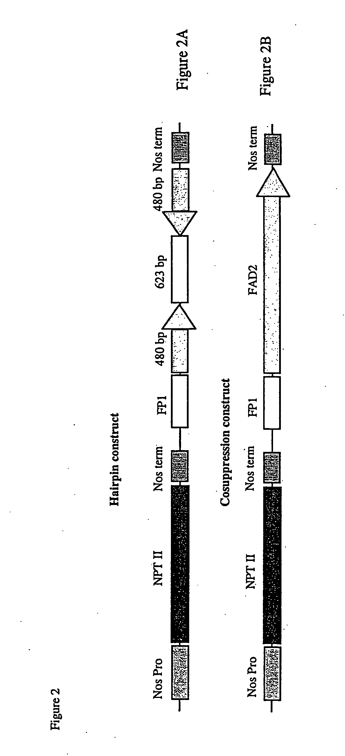 Methods and means for obtaining modified phenotypes