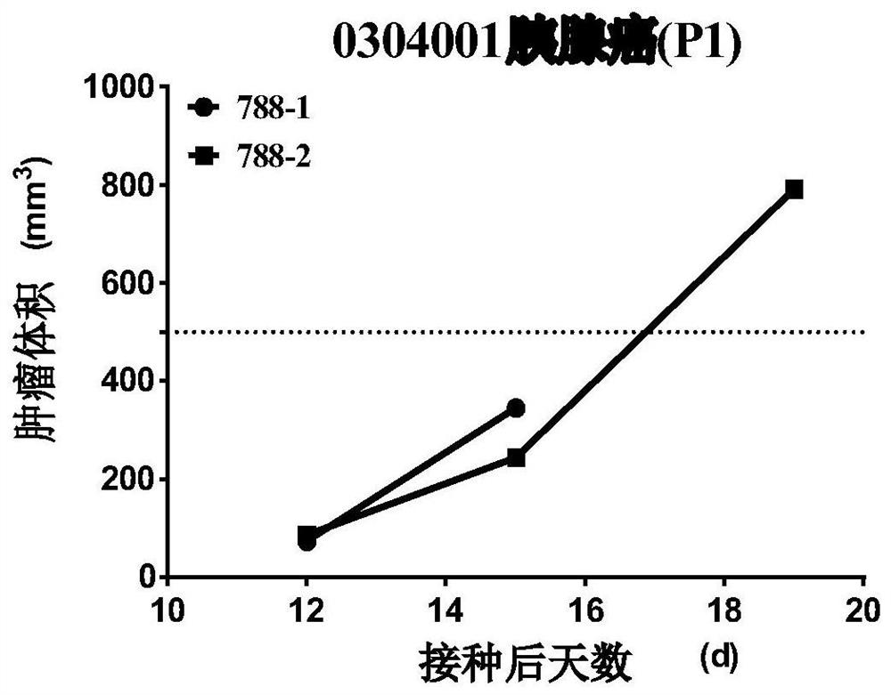 Construction method of double patient-derived tumor xenograft model