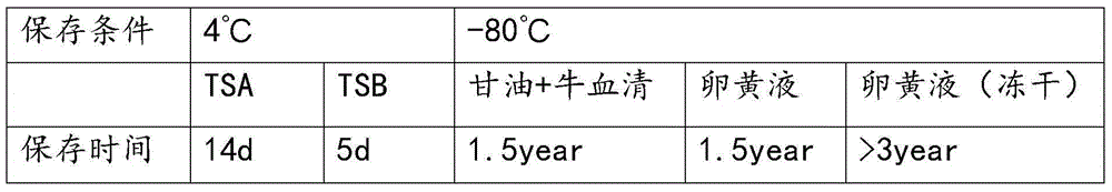 Serum-13 type haemophilus lus paradis vaccine strain and application thereof