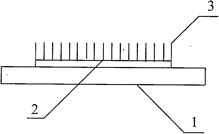 Process for preparing carbon nanotube cathode material