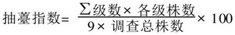 FLC1 specific SNP molecular marker based on competitive allele specificity PCR technology and application