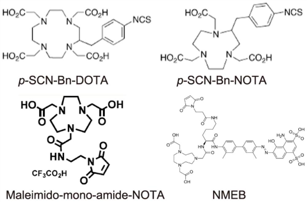 Novel molecular imaging probe for diagnosing multiple myeloma