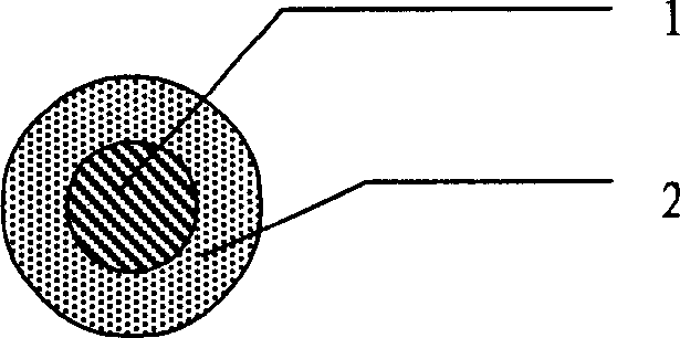 Stent with functional nanometer drug-carried coat