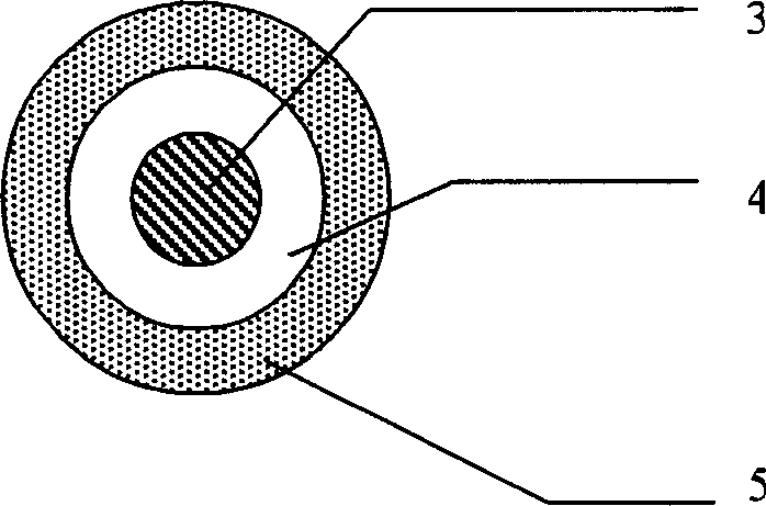 Stent with functional nanometer drug-carried coat