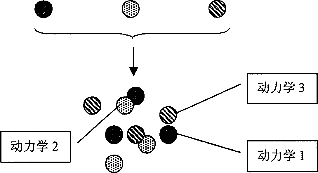 Stent with functional nanometer drug-carried coat