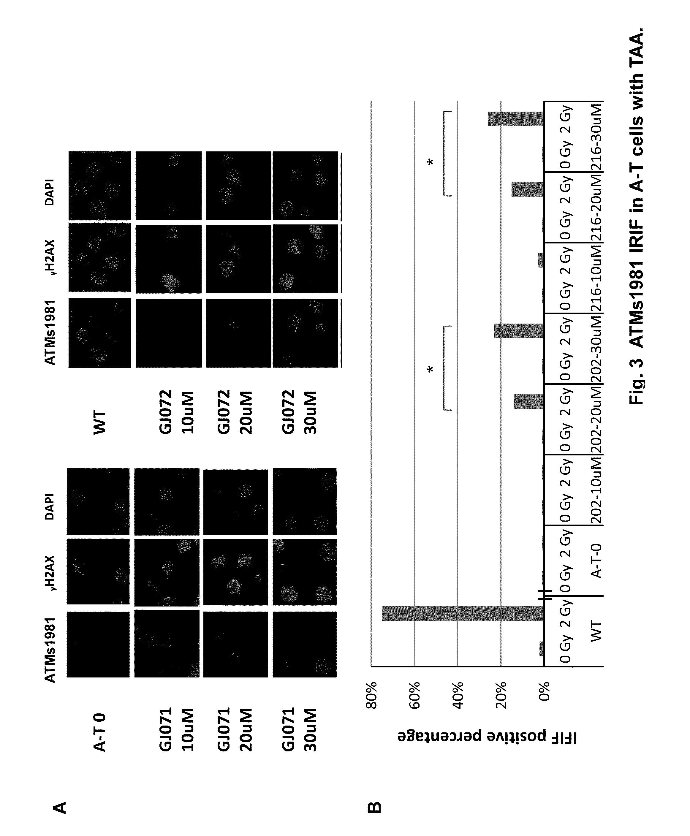 Premature-termination-codons readthrough compounds