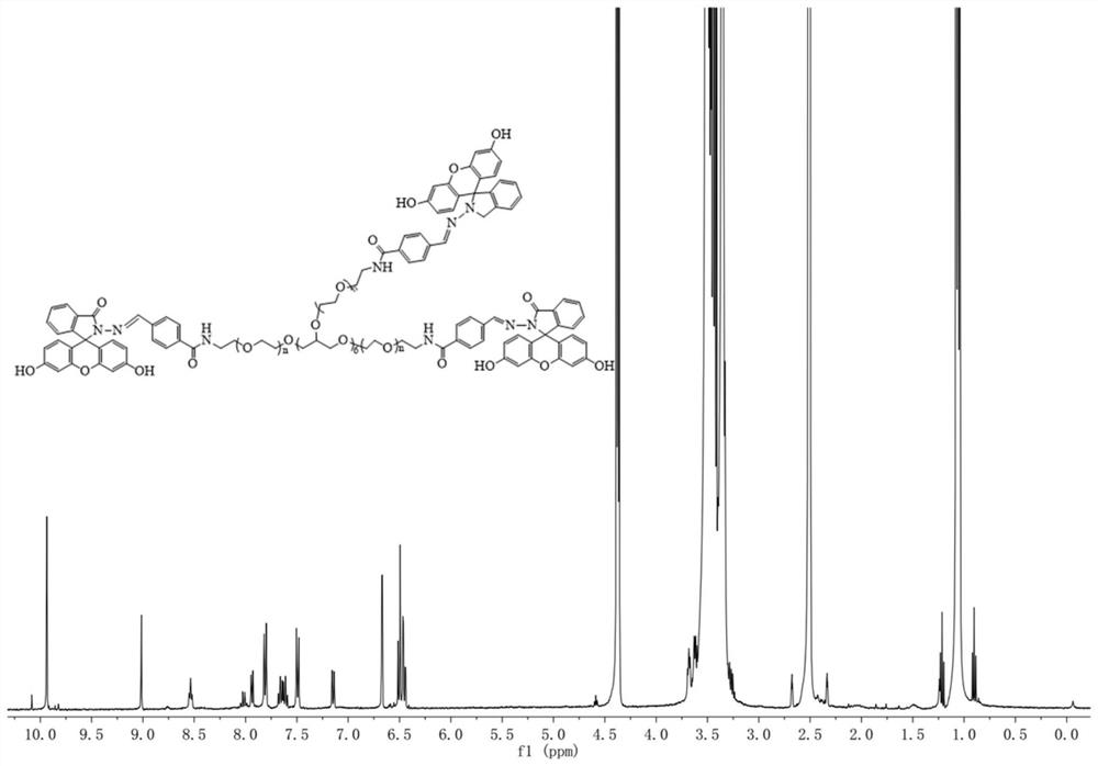 Water-soluble fluorescein polymer probe for mercury ion detection as well as preparation and application thereof