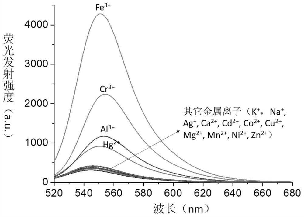 Water-soluble fluorescein polymer probe for mercury ion detection as well as preparation and application thereof