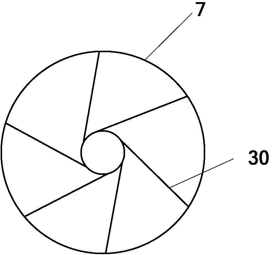 Gas assisted extrusion device with feed inlet stirring function