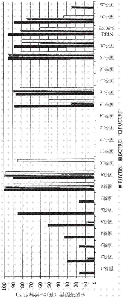 A novel paenibacillus strain, antifungal compounds, and methods for their use