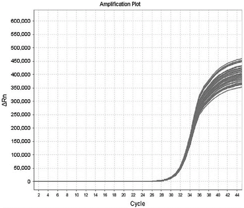 Multiple PCR detection kit and method for identifying susceptible bacteria species for intracranial post-operation