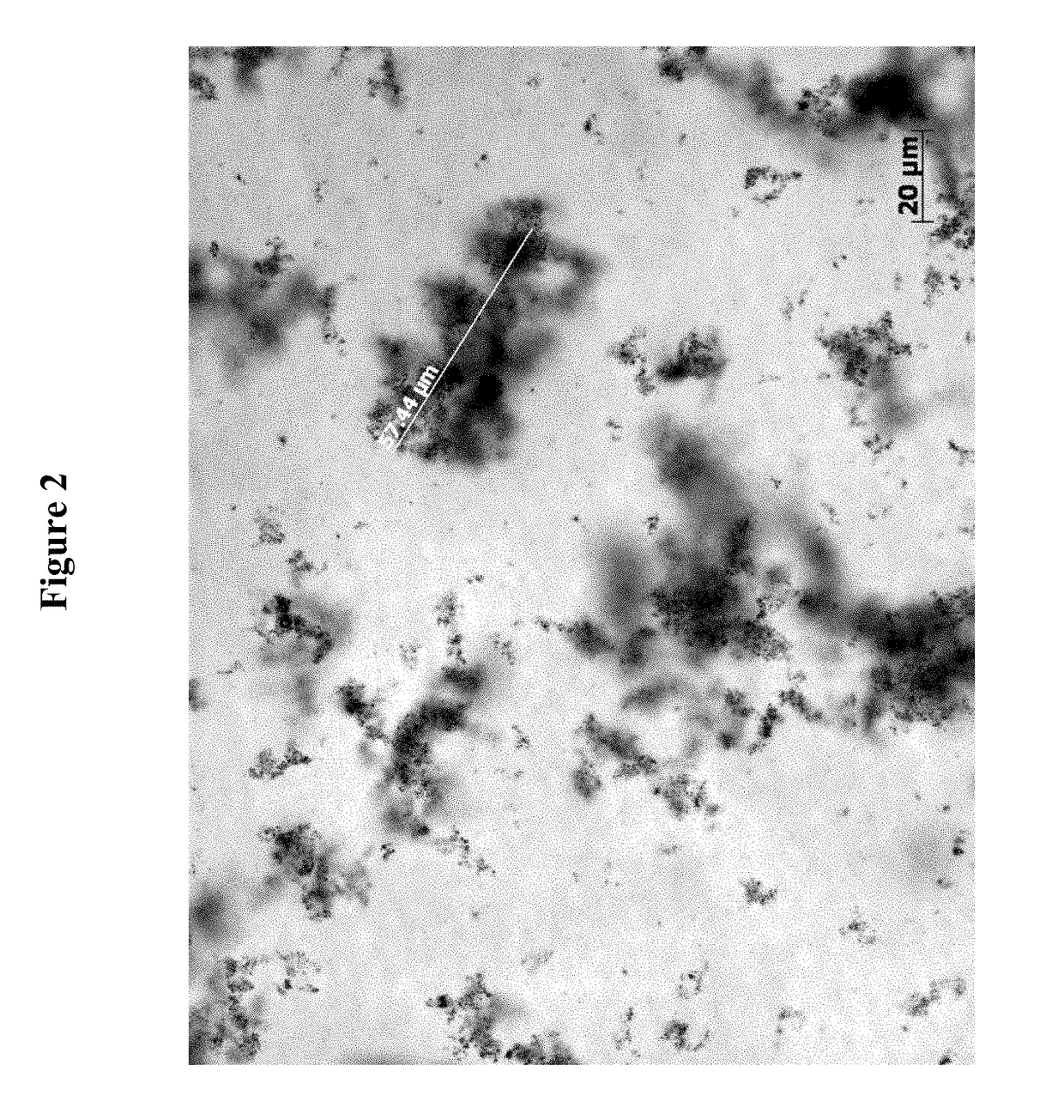 Polymeric topical antiseptic compound and method of use